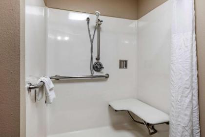 Comfort Inn & Suites Pauls Valley - City Lake - image 4