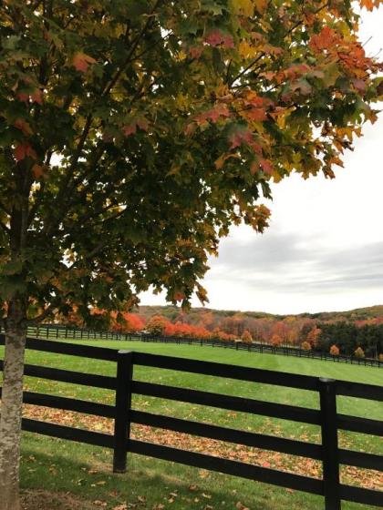 Station Inn Pawling - image 2