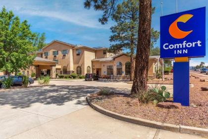 Comfort Inn Payson Payson