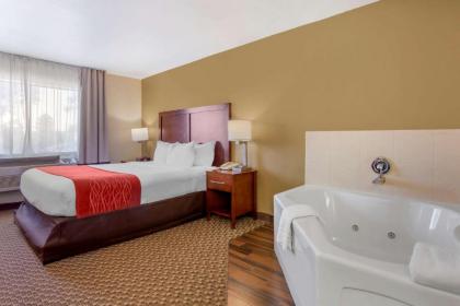 Comfort Inn Payson - image 13
