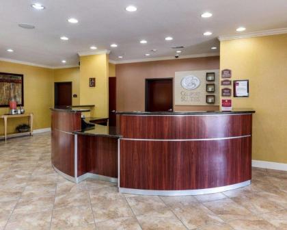 Comfort Suites Pearland - image 7