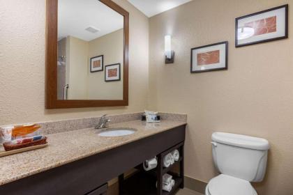 Comfort Suites Pelham Hoover I-65 - image 2