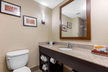 Comfort Suites Pelham Hoover I-65 - image 3