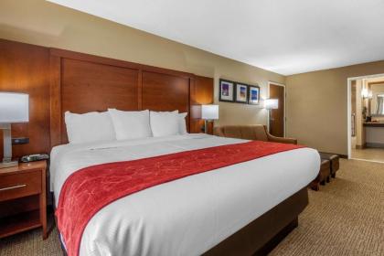 Comfort Suites Pelham Hoover I-65 - image 4
