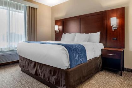 Comfort Suites Pell City I-20 exit 158 - image 13