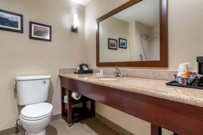 Comfort Suites Pell City I-20 exit 158 - image 14