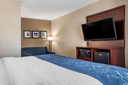 Comfort Suites Pell City I-20 exit 158 - image 15