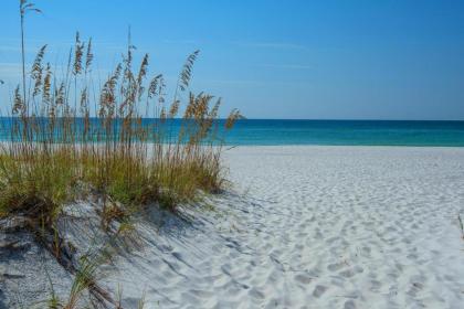 Gulf Winds Unit 101 - image 12