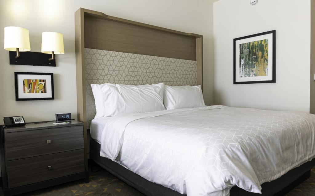Holiday Inn Glendale - Stadium & Ent Dist - image 4