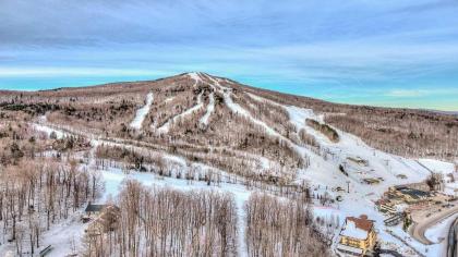 Ski-In and Ski-Out Peru Condo at Bromley Mountain - image 11