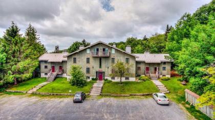 Ski-In and Ski-Out Peru Condo at Bromley Mountain - image 9