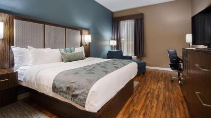 Best Western Plus Pflugerville Inn & Suites - image 10