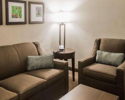 Comfort Inn & Suites Pharr/McAllen - image 14