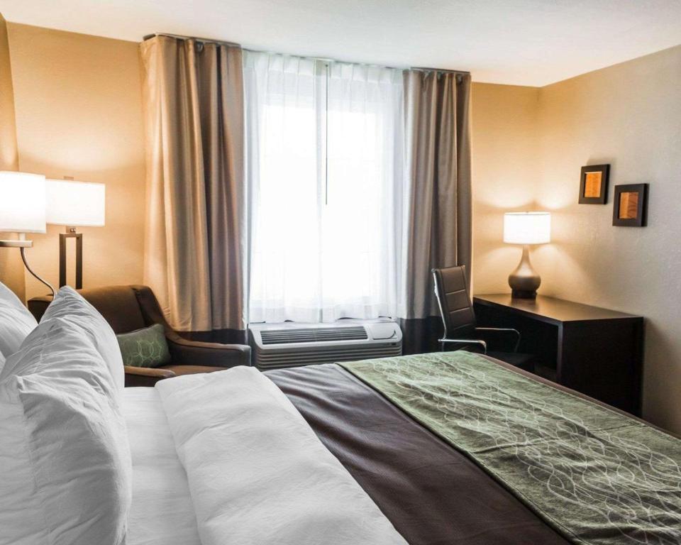 Comfort Inn & Suites Pharr/McAllen - image 4