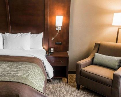Comfort Inn & Suites Pharr/McAllen - image 5