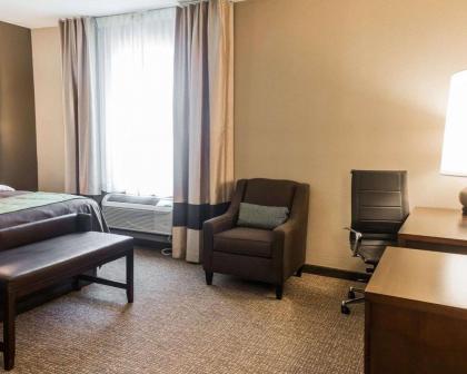 Comfort Inn & Suites Pharr/McAllen - image 9