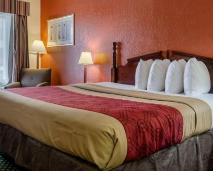 Econo Lodge Inn & Suites Philadelphia - image 9