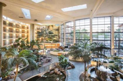 Embassy Suites Phoenix   Biltmore Phoenix Arizona