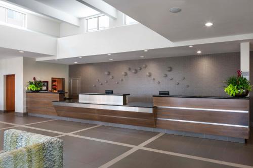 Residence Inn Phoenix Desert View at Mayo Clinic - image 4