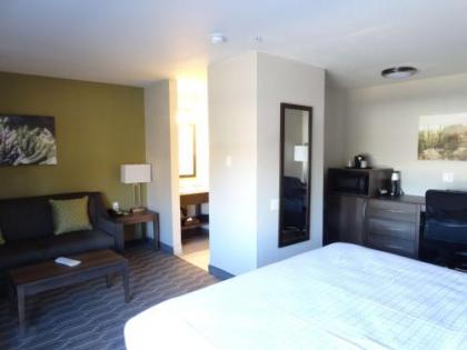 Best Western North Phoenix Hotel - image 5
