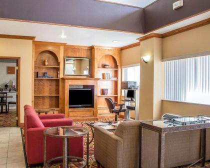 Comfort Suites At Metro Center Phoenix - image 2