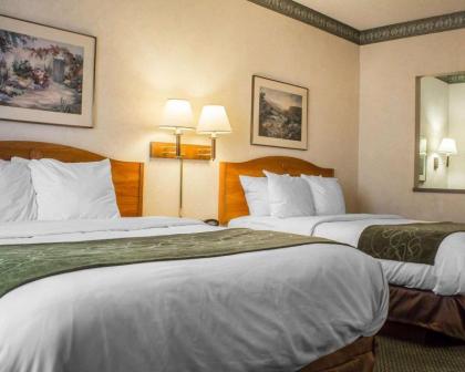 Comfort Suites At Metro Center Phoenix - image 4