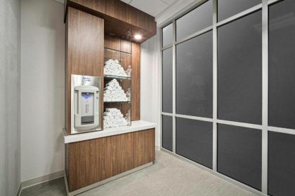 SpringHill Suites by Marriott Phoenix Goodyear - image 8