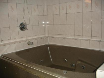 Rivera Inn & Suites Motel - image 5