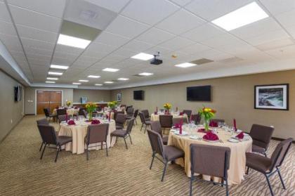 Comfort Suites Greenville South - image 14
