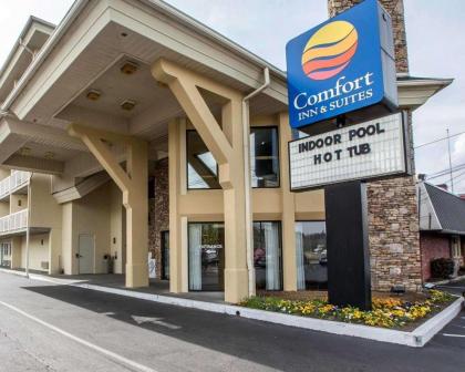 Comfort Inn & Suites at Dollywood Lane