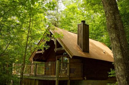 A Cabin In The Woods - image 1