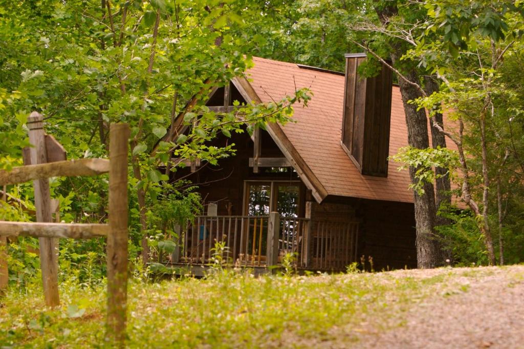 A Cabin In The Woods - image 3