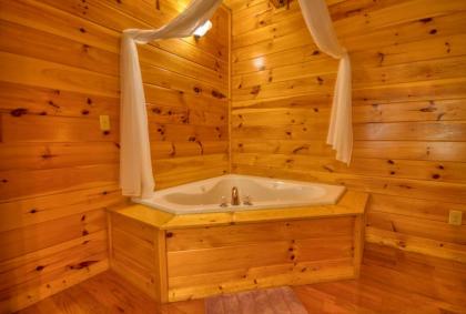 Camelot #266 by Aunt Bug's Cabin Rentals - image 5