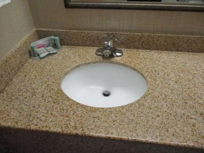 Best Western Presidential Hotel & Suites - image 10