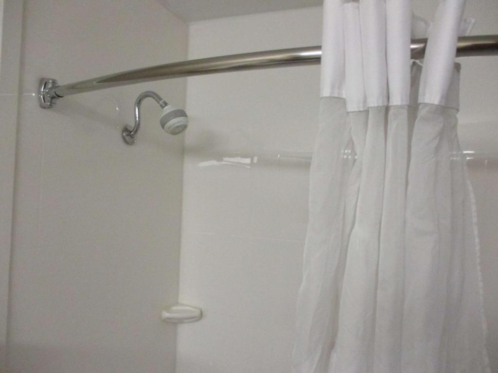 Best Western Presidential Hotel & Suites - image 4