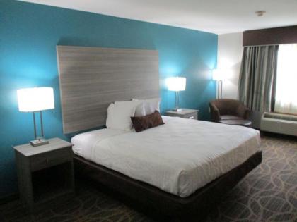 Best Western Presidential Hotel & Suites - image 6