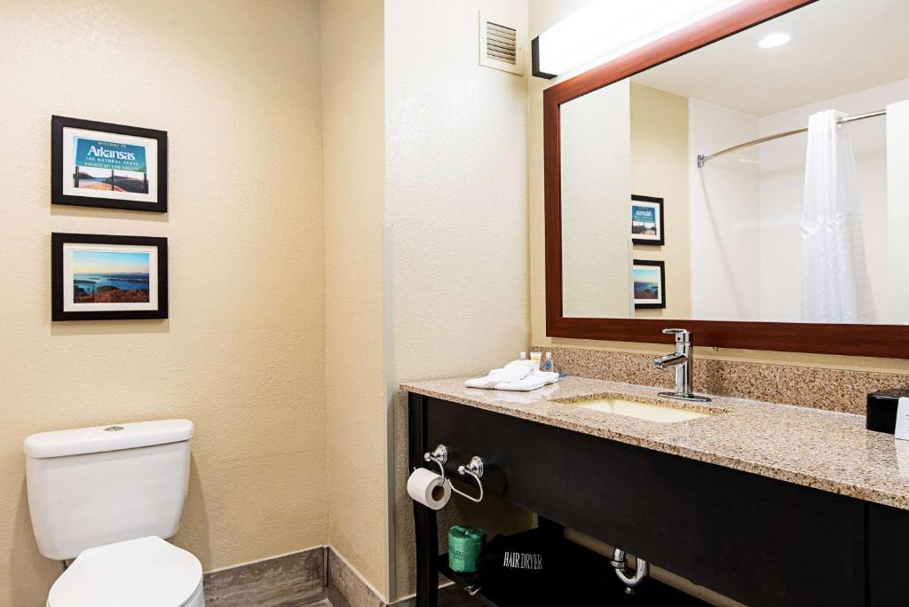 Comfort Inn & Suites Pine Bluff - image 3