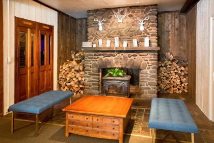 Pine Hill Arms Hotel - image 11