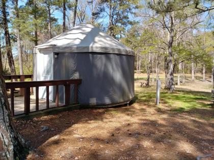 Pine Mountain RV Resort - image 14