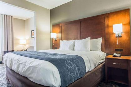 Comfort Suites Pineville - Ballantyne Area - image 13