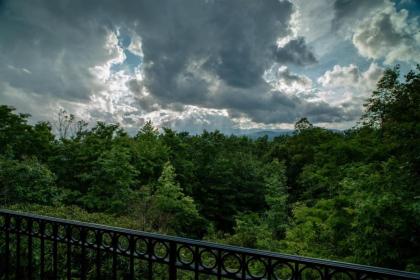 Pisgah Mountain House - image 11