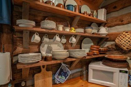 Aunt Babbie`s Cabin - image 10