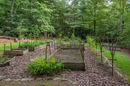 Aunt Babbie`s Cabin - image 11