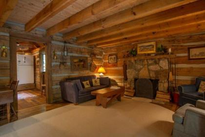 Aunt Babbie`s Cabin - image 2