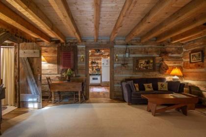 Aunt Babbie`s Cabin - image 3