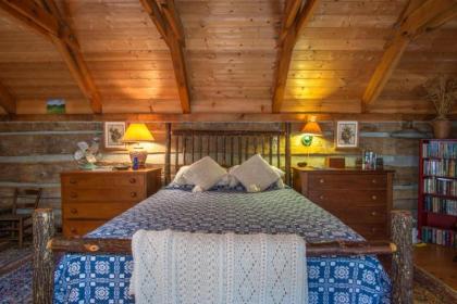 Aunt Babbie`s Cabin - image 5