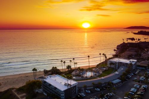 SeaCrest Oceanfront Hotel - image 5