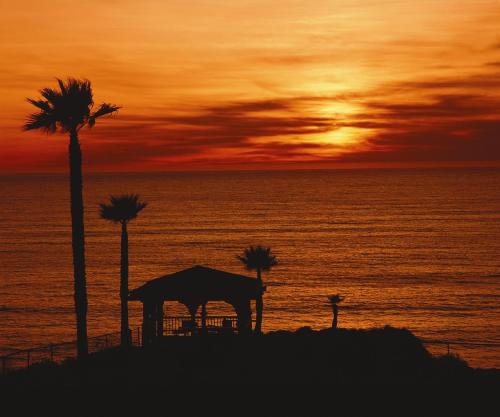Shore Cliff Hotel - image 2