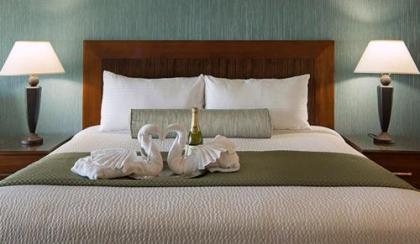 Shore Cliff Hotel - image 20