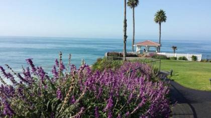 Shore Cliff Hotel - image 21